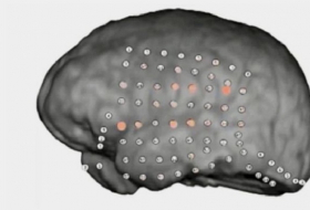 Brain`s party noise filter revealed by recordings